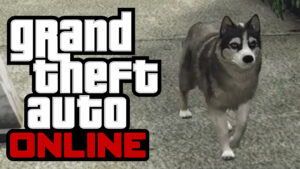 GTA Online: Tiere fotografieren auf PS5 und Xbox Series X